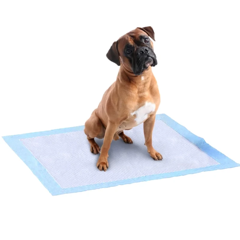 Puppy Big Dog Sanitary Training Toilet Pad High Absorbent Urine Poop Diaper Pet Potty Training Supplies Adhesive PE SAP
