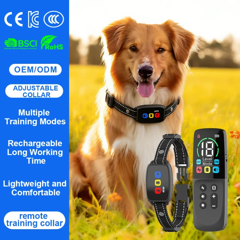 QCool Intelligent Wireless Multi Device Control Rechargeable Adjustable Training System Factory Pet Training Behavior Products