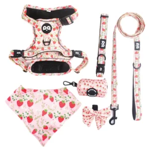 QQPETS Custom Luxury Puppy Leash Collar Adjustable Pet Poop Bag Bandana Reversible Breathable Neoprene Dog Harness Sets