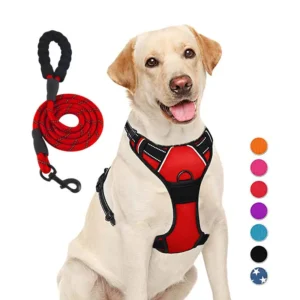 Qbellpet Pet Supplies Custom Luxury Pechera Para Perro Reversible Adjustable Dog Harness and Leash