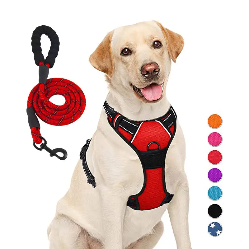 Qbellpet Pet Supplies Custom Luxury Pechera Para Perro Reversible Adjustable Dog Harness and Leash