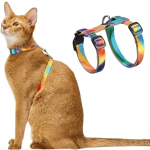 Rainbow Fashion Escape Proof Adjustable Pet Harness Set for Outdoor Use