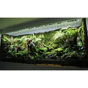 Rainforest Herbage Seaweed Landscape Seawater Environment Friendly Acrylic Fish Tank