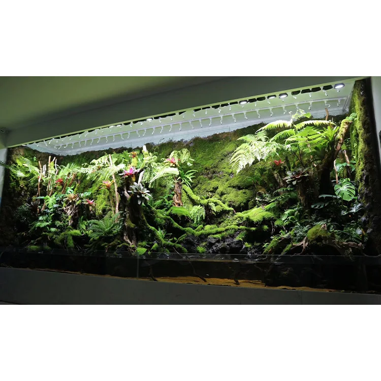 Rainforest Herbage Seaweed Landscape Seawater Environment Friendly Acrylic Fish Tank