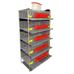 Raised Three Dimensional Quail & Partridge Cage with Automatic Feeding & Watering Dung Clearing System for Small Bird Breeding
