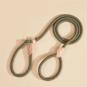 Ready Stock Slip Lead No Choke Training Leash Safe Control for All Size Dogs Polyester Rope Pet Supplies