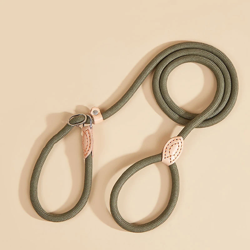 Ready Stock Slip Lead No Choke Training Leash Safe Control for All Size Dogs Polyester Rope Pet Supplies