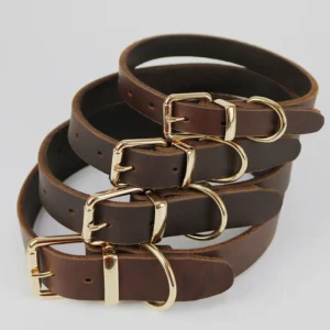 Real Leather Comfortable Dog Collar Extra Durable Metal Puppy Pet Neck Collar