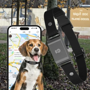 Real-Time GPS Pet Tracker 4G Smart Collar App for Cats Dogs IPX6 Waterproof 20h Battery Voice Calls Compatible