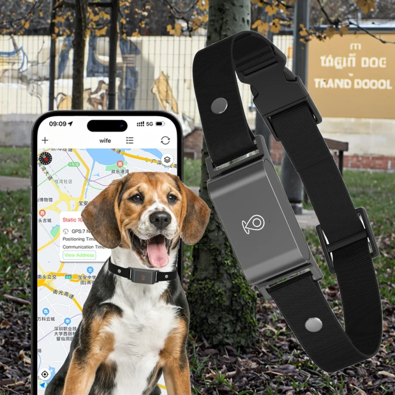 Real-Time GPS Pet Tracker 4G Smart Collar App for Cats Dogs IPX6 Waterproof 20h Battery Voice Calls Compatible