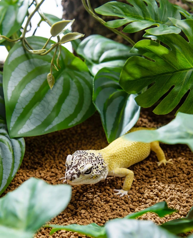 Realistic Plastic Reptile Plants for Pet Product Decoration Amphibian Supplies
