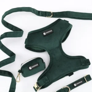 Red Green Velvet Dog Harness Set Pet Collar Leash Vest for Training and Walking Dog Supplies