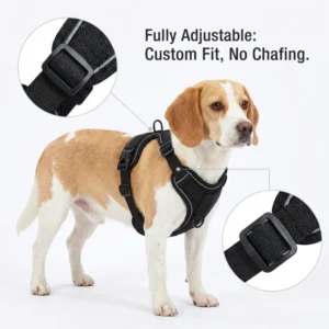 Reflective Breathable Dog Harness and Leash Set Escape Proof Vest Style Walking Gear for Easy Control Outdoor Use Siza L