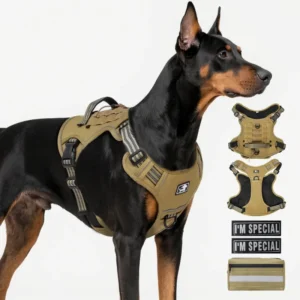 Reflective Breathable Fashion Heavy Duty Nylon Dog Leash Harness Adjustable Buckle Comfortable No Pull Design for Large Dogs