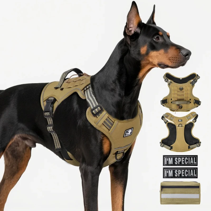 Reflective Breathable Fashion Heavy Duty Nylon Dog Leash Harness Adjustable Buckle Comfortable No Pull Design for Large Dogs