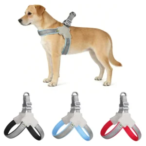 Reflective Nylon Breathable Fashion Simple Dog Harness for Small Medium Dogs Puppy Chest Strap