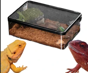 Reptile Accessories Escape proof Reptile Breeding Box & Rainforest Amphibian Terrarium Snake Enclosure Turtle Tank Reptile Tank