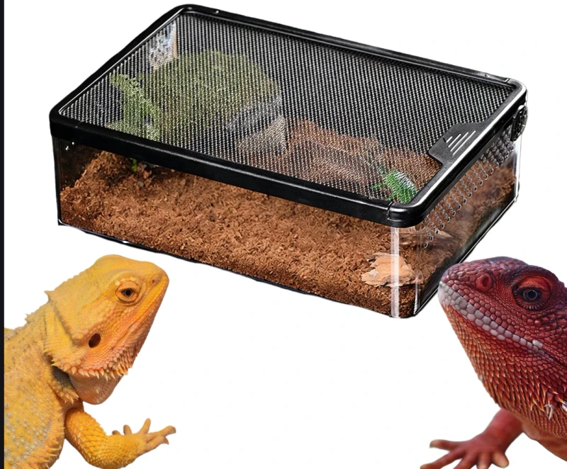 Reptile Accessories Escape proof Reptile Breeding Box & Rainforest Amphibian Terrarium Snake Enclosure Turtle Tank Reptile Tank