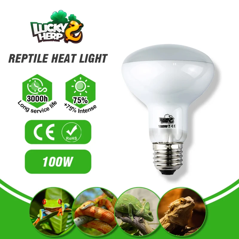 Reptile Basking Spot Lamp White Spiral 50W 75W 100W 120V 220-240V Glass Supplies for Reptiles and Amphibians