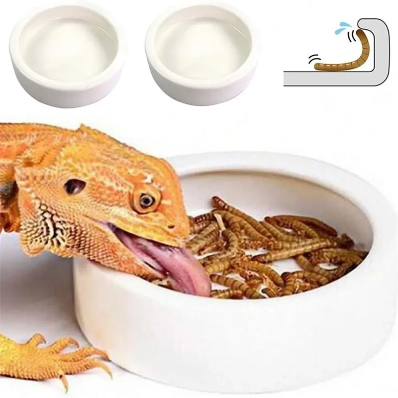 Reptile Ceramic Hideout Cave Round Durable Food Water Bowl Prevent Bread Worms From Escaping All Seasons