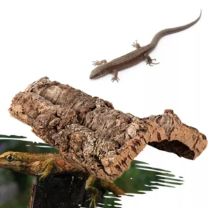 Reptile Climbing Cork Bark Natural Tree Wood Habitat Lizard Spider Small Animal Hiding Place Pet Products Terrarium