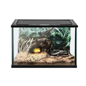 Reptile Glass Container Cage for Frogs and Geckos