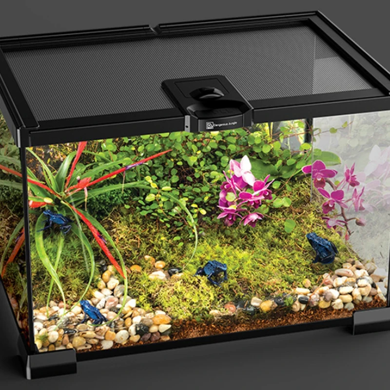Reptile Glass Terrarium Ecological Landscape Horned Frog Spider Guarding Palace Lizard Transparent Feeding Tank