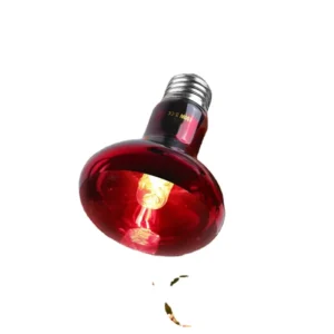 Reptile Red Glass Heating Basking Spot Lamp 25W 50W 75W 100W Amphibian Supplies