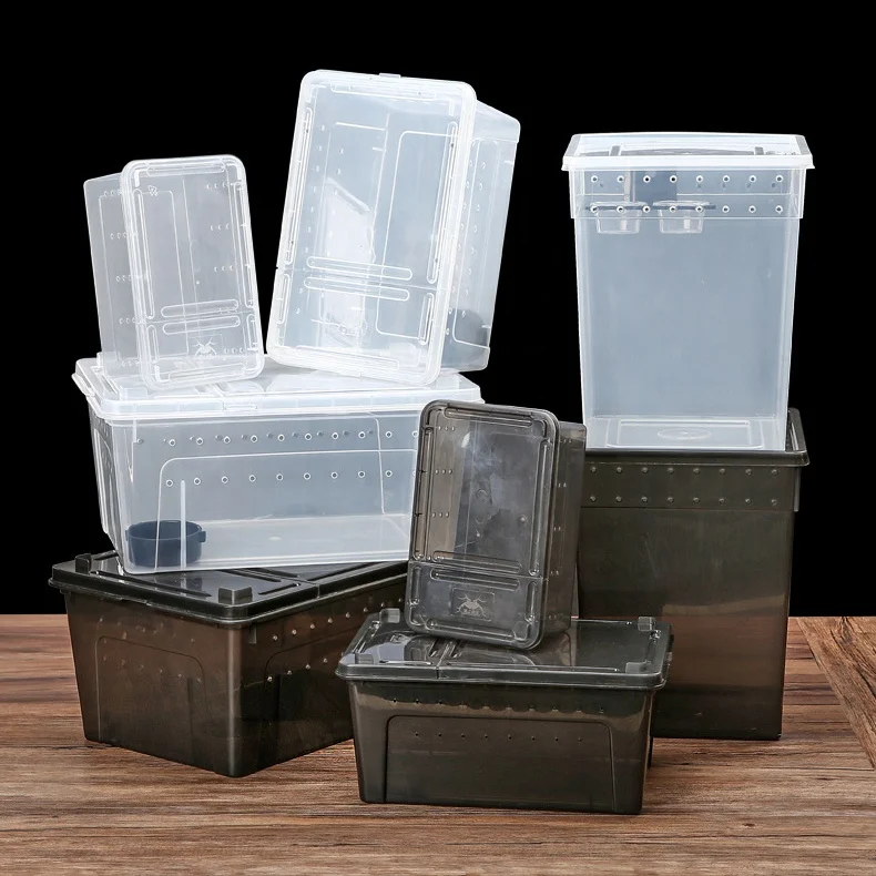 Reptile Small Plastic Feeding Box Terrarium Reptile Travel Habitat Box for Gecko Frog Spider Snake Baby Lizard