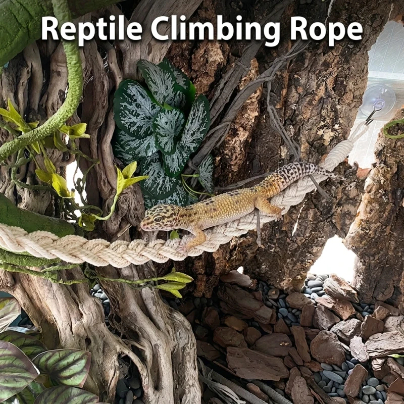 Reptile Snake Climbing Rope Ladder Hermit Crab Enrichment Toy Tank Terrarium Accessories for Gecko Lizard Amphibian
