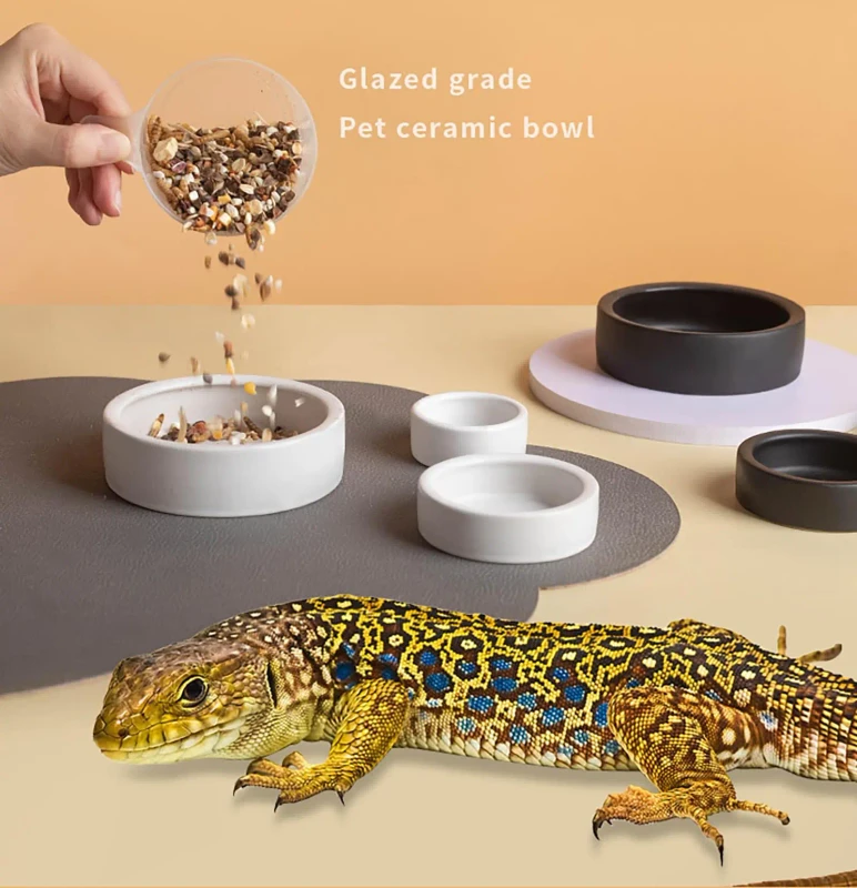 Reptile Supplies Ceramic Reptile Feeder Bowl Escape Proof Insect Feeding Dish