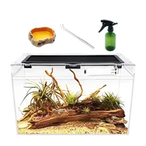 Reptile Terrarium 16″ X 8″ X 10″ Full View Design for Insects Hermit Crabs Jumping Spiders Leopard Geckos Bearded Dragons