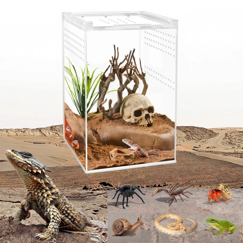 Reptile Terrarium Acrylic Enclosure Reptile Cage Breathable Plastic Breeding Box for Insect Lizard Spider