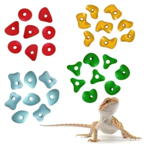 Reptile Terrarium Climbing Rock Grips Colorful Acrylic Lizard Bearded Dragon Tank Wall Decor Accessories