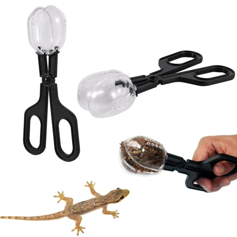 Reptile Terrarium Lizards Plastic Tongs Tweezers Pet Raising Feeding Tool Clip Children School Plant Insect Biology Study Tool