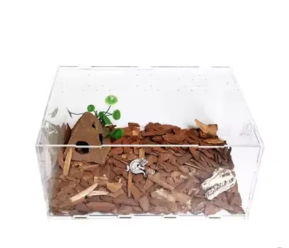 Reptile Terrarium Transparent Acrylic Reptile Box Sustainable for Reptile Breeding