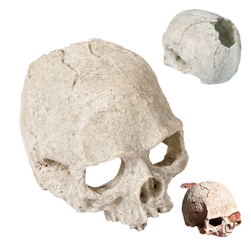 Resin Amphibian Reptile Skull Animal Skin Aquarium Ornaments Landscape Pet Supplies Reptiles