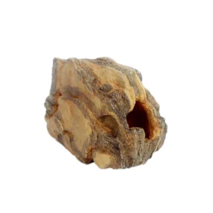 Resin Fish Fossil Terrarium Landscape Hiding Cave & Landscape Supplies for Reptiles & Amphibians