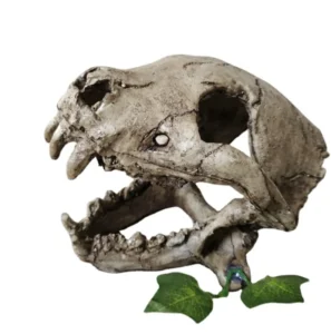 Resin Skull Gecko Hide for Reptiles & Amphibians Durable Terrarium Fish Tank Decorations Unique Landscape Hideout
