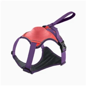 Retractable Dog Walking Chest Strap with Back Support Anti Escape for Medium and Large Dogs