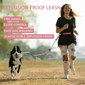 Retractable Pet Chain Leash for Dog Collars Hook Set Buckle Custom Other Leashes Luxury Collar Pet Chain Leash