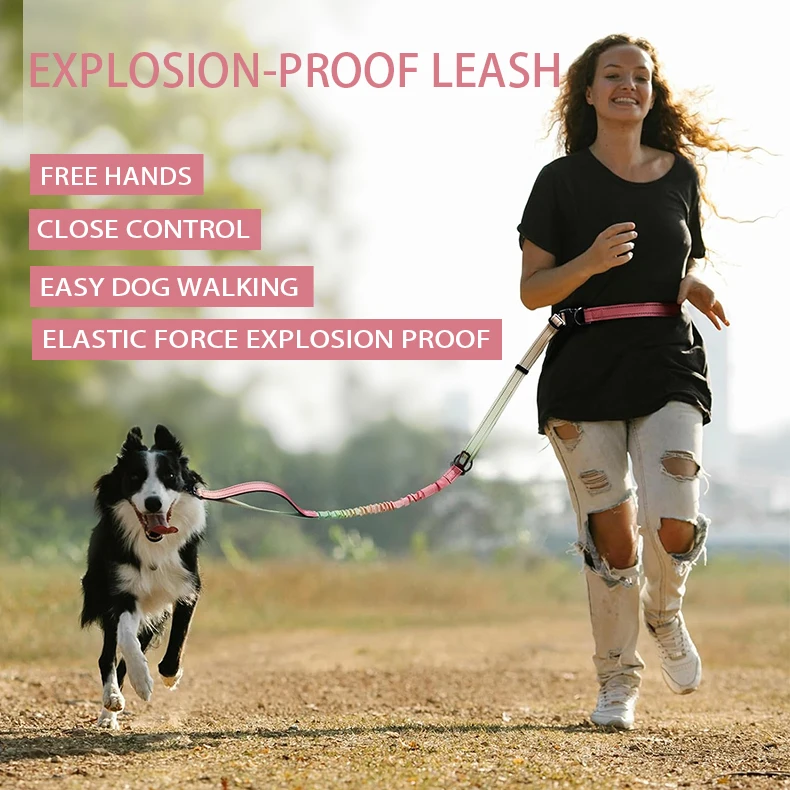 Retractable Pet Chain Leash for Dog Collars Hook Set Buckle Custom Other Leashes Luxury Collar Pet Chain Leash