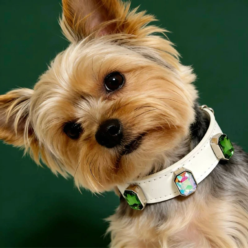 Rhinestone Dog Collar Pink PU Leather Pet Neckband with Paw Print Embossed Crystal Studded Collar for Small Dogs