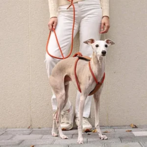 Round Rope Dog Harness with Leather Components Custom Adjustable Pet Walking Harness