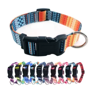 Safety Buckle Stainless Steel D ring Adjustable Colorful Dog Collars for Small Medium Large Dogs