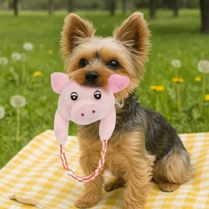 Self made Corn Velvet Squeaky Pet Toy Bite resistant for Teeth Cleaning Training and Bedtime Companion for Cats and Dogs