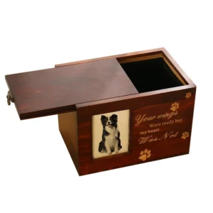 Sell High Quality Good Price Animal Pet Urns Dog Memorial Box Coffins and Caskets Urn Pet Coffins