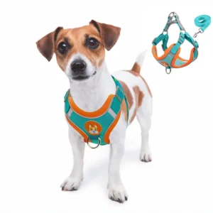 Selling Best Adjustable Pet Harness Dog Harness and Leash With Reasonable Price