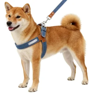 Set Other Pet Denim Dog Collar Leash Harness for Dog
