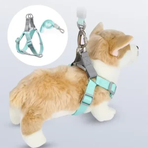 Simple Dog Harness and Leash Set for Small Medium Pets Dogs Cats Harness
